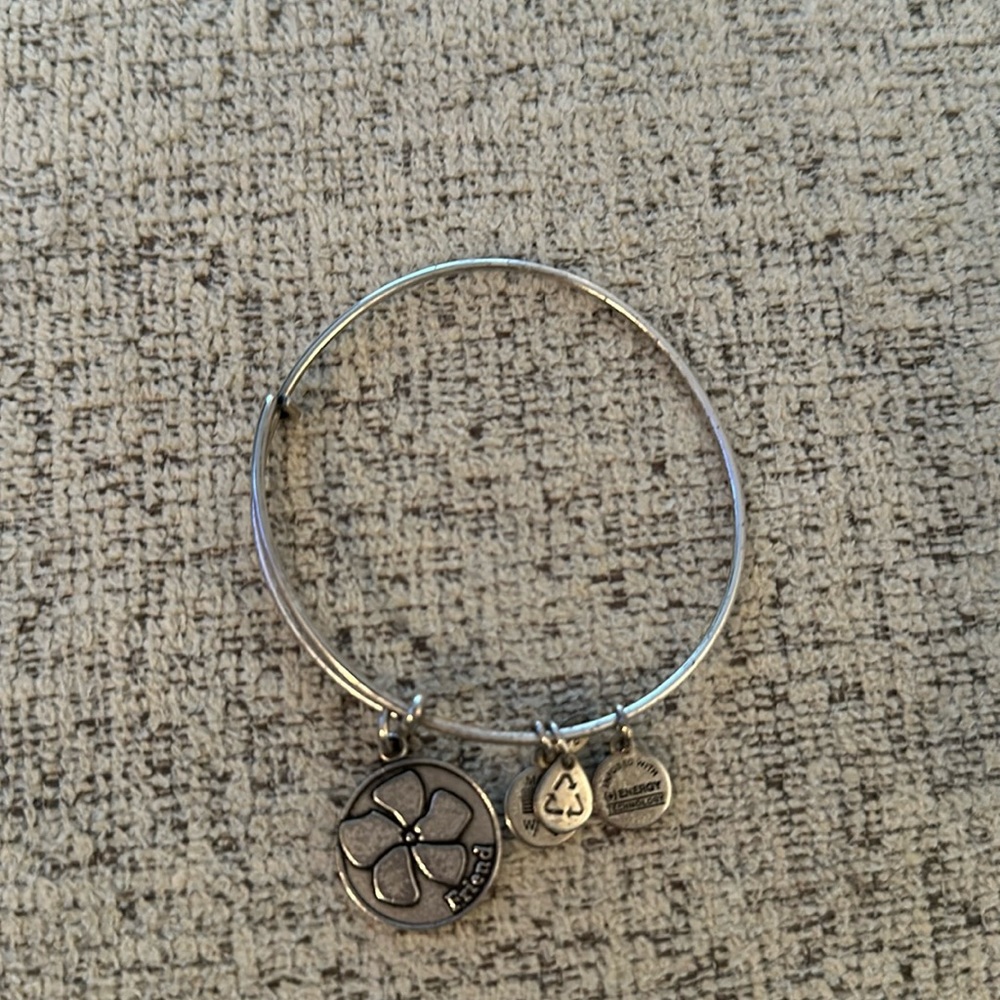 Alex and ani friend bangle
